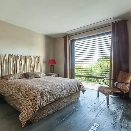 In Juan-les-pins With Heated Pool Villa Antibes